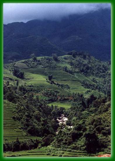 1_42 pola ryzowe sapa.jpg