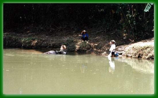 1_51 lao cai wies pranie.jpg